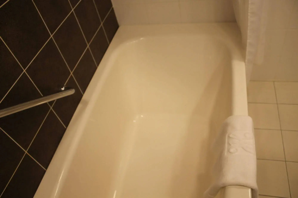 Kichijoji Excel Hotel Tokyu  - Général