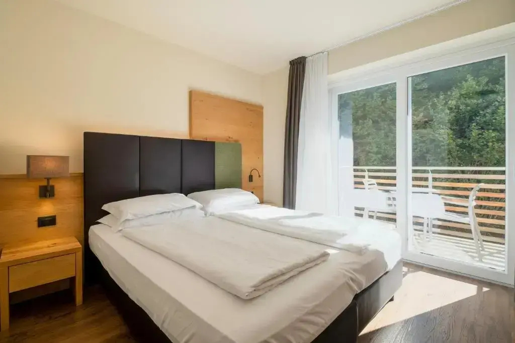Standard Double room with mountain view (full double bed)