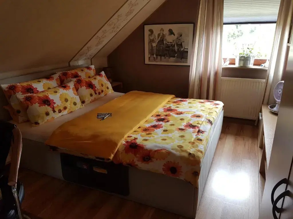 Standard Double room (full double bed)