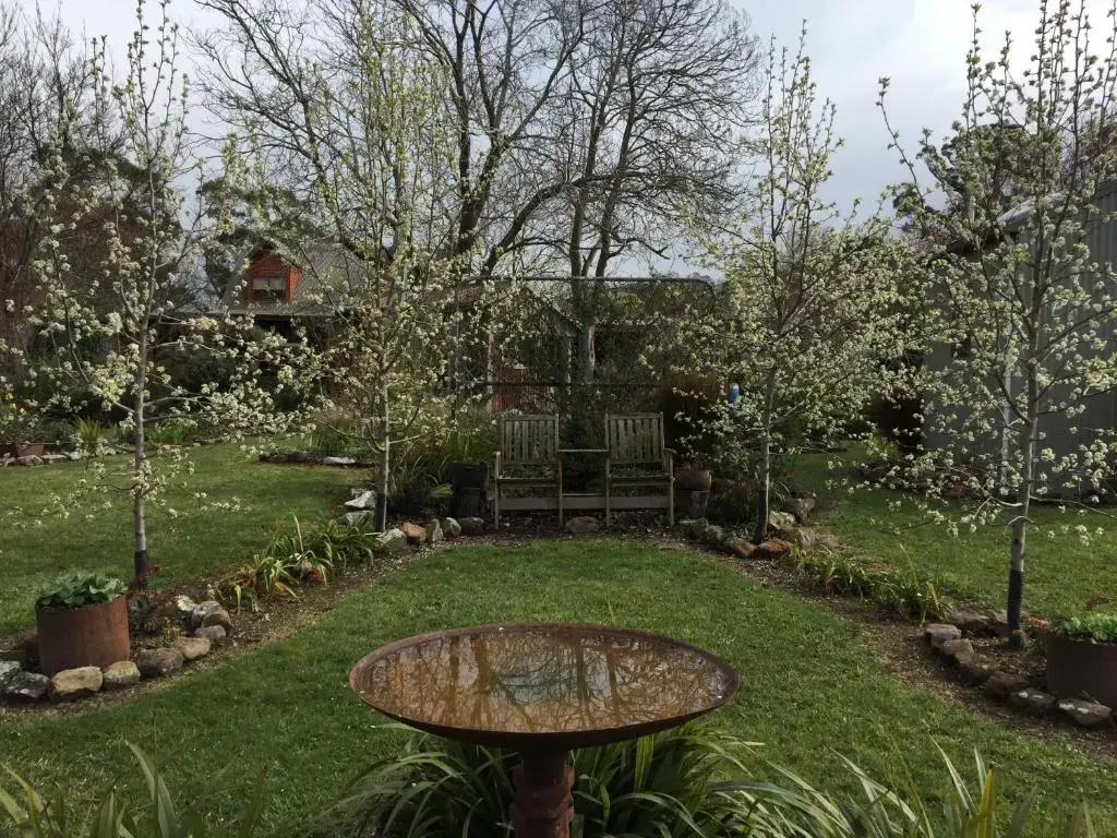 Cottage