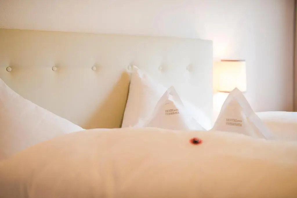 Hotel Theresia - Chambres