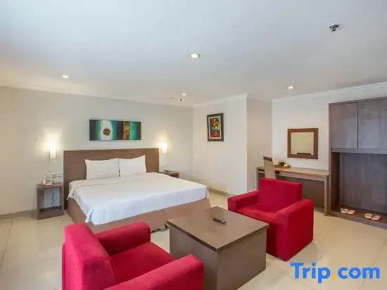 Double Junior Suite (full double bed)