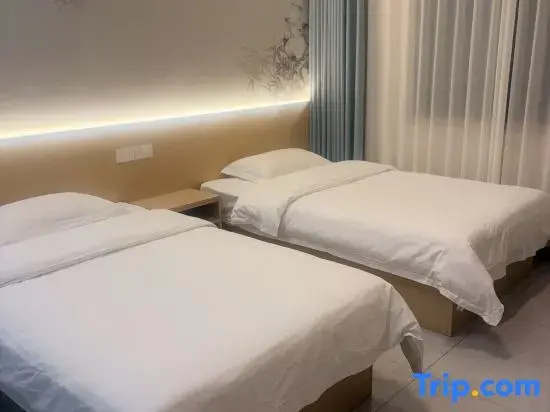 Deluxe Double room (twin beds)
