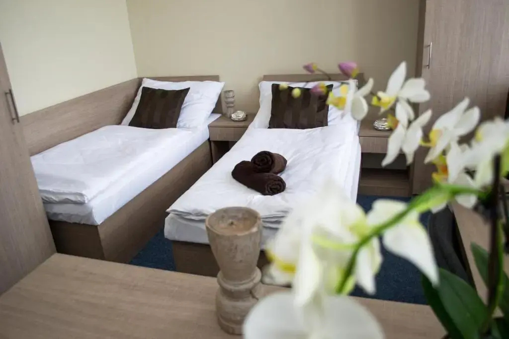 Penzion S Wellnes Uherske Hradiste - Chambres