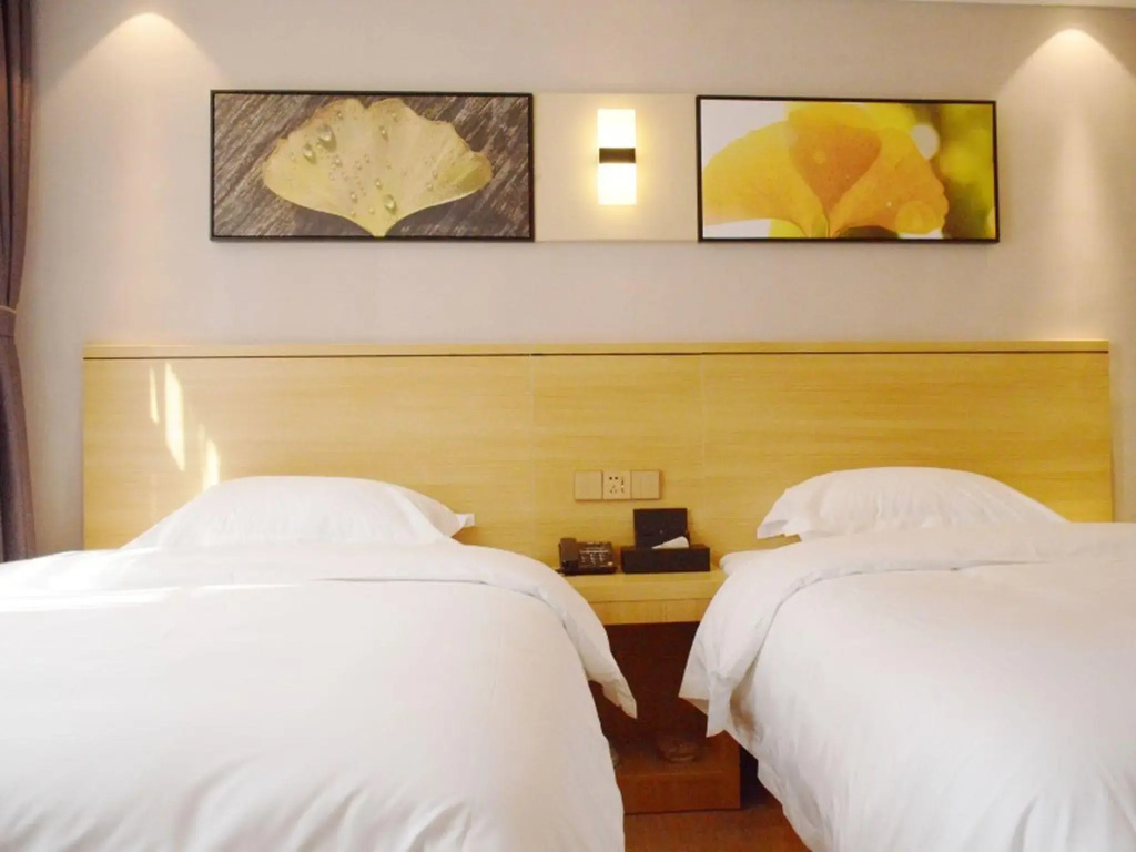 Superior Double room (twin beds)