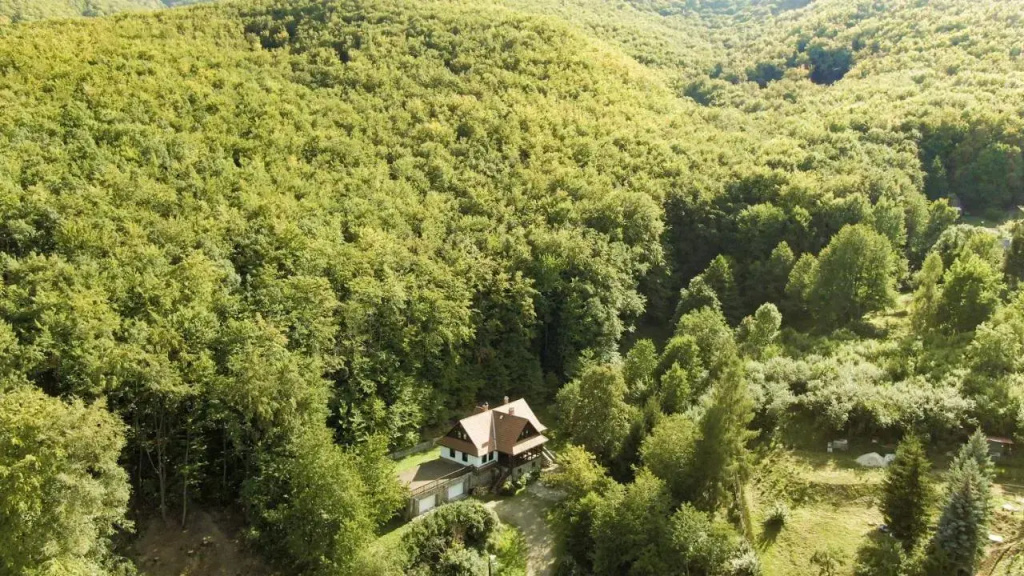 Villa Szalamandra - фото 27