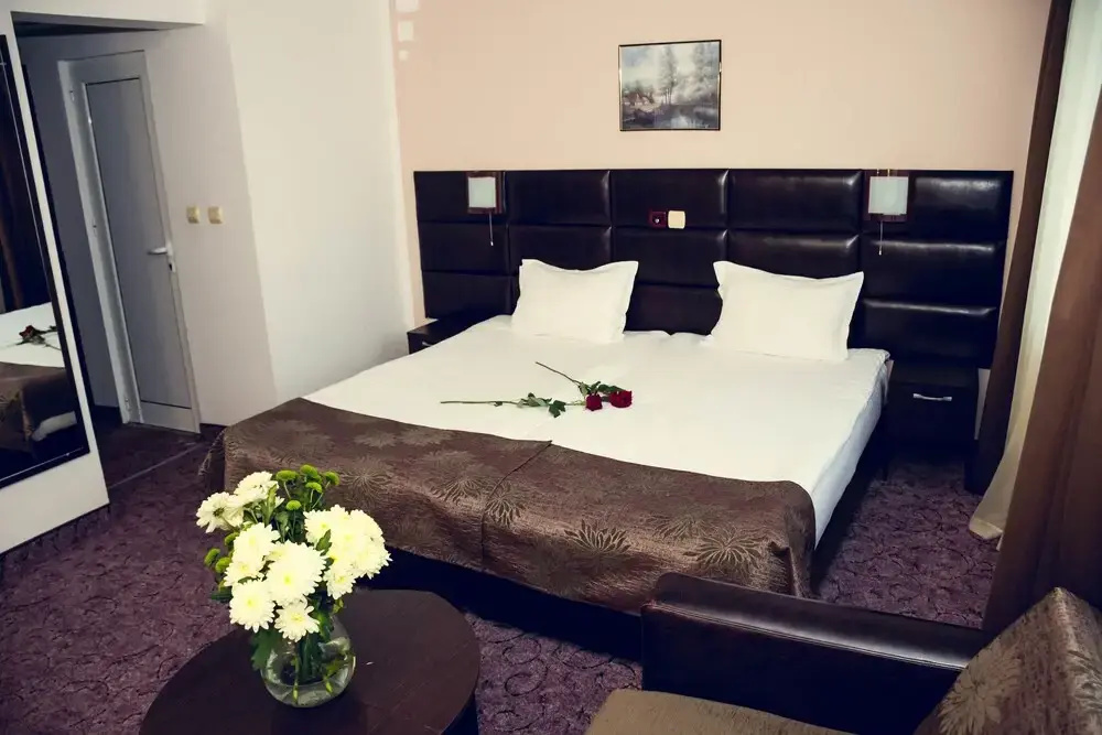 Zdravets Hotel Wellness & SPA - Général