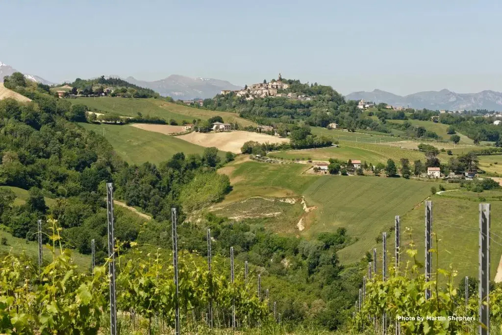 Boutique Hotel Leone