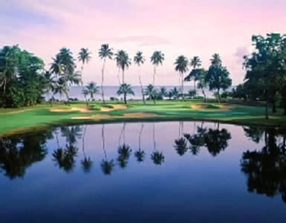 Villa Granada at Dorado Beach Resort Pool Nearby