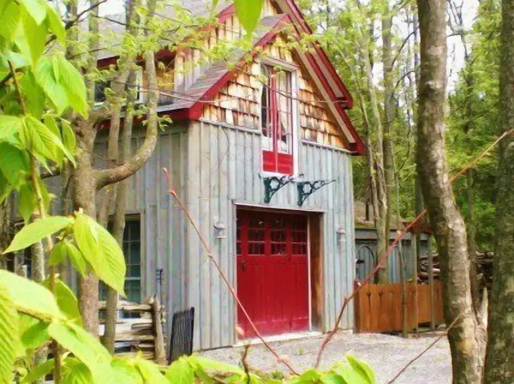 Windswept On The Trent