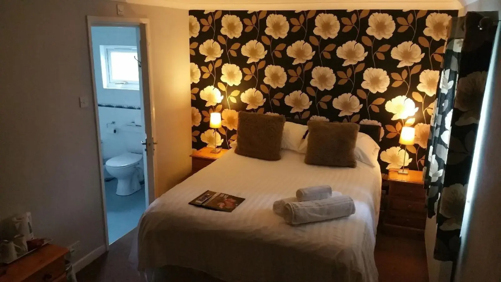 Plas Hyfryd Hotel - Général
