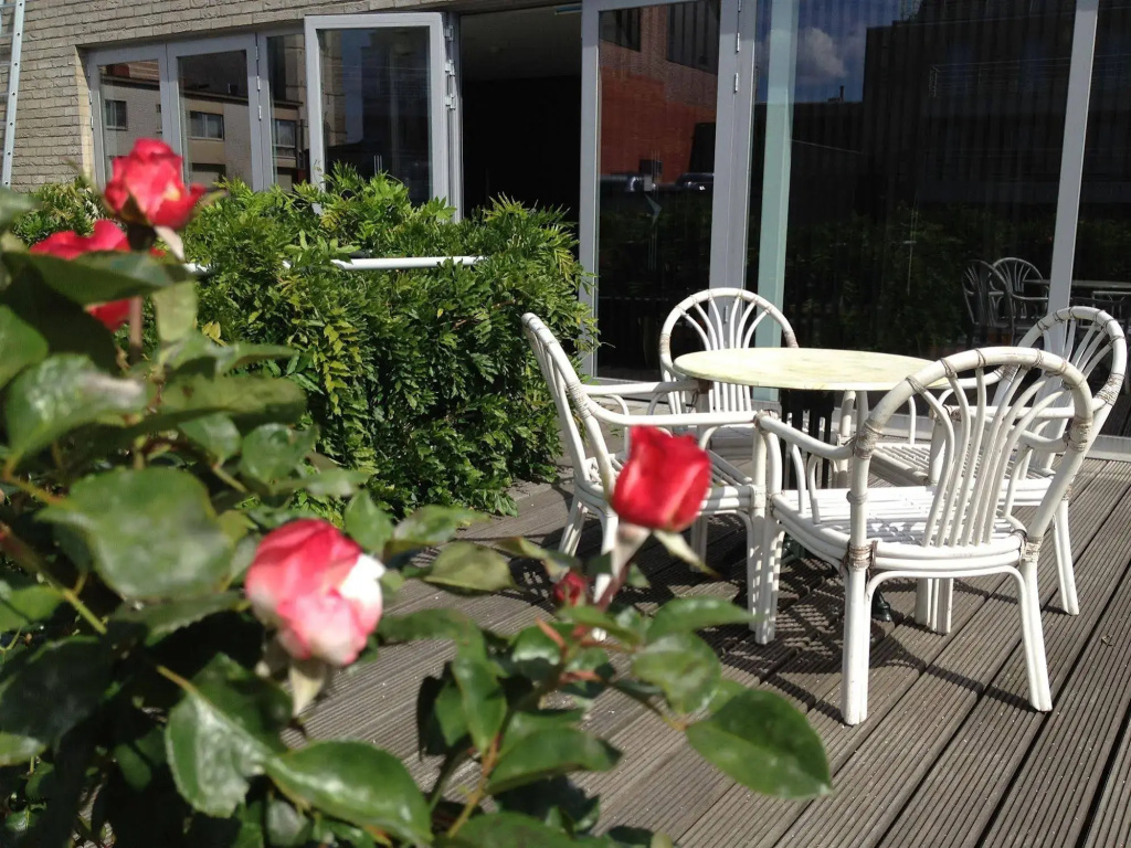 Hotel photo 8