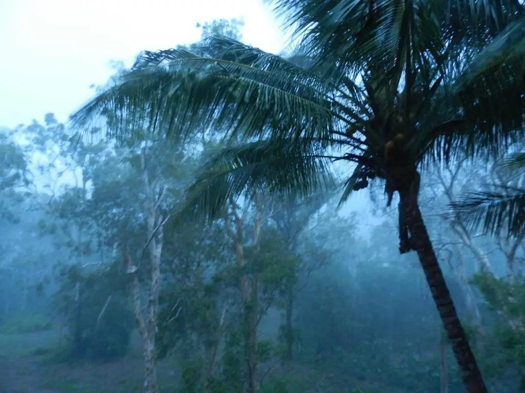 Oskars Rainforest Retreat - Chambres
