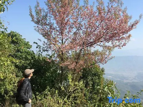 Sanctuary @Dhulikhel