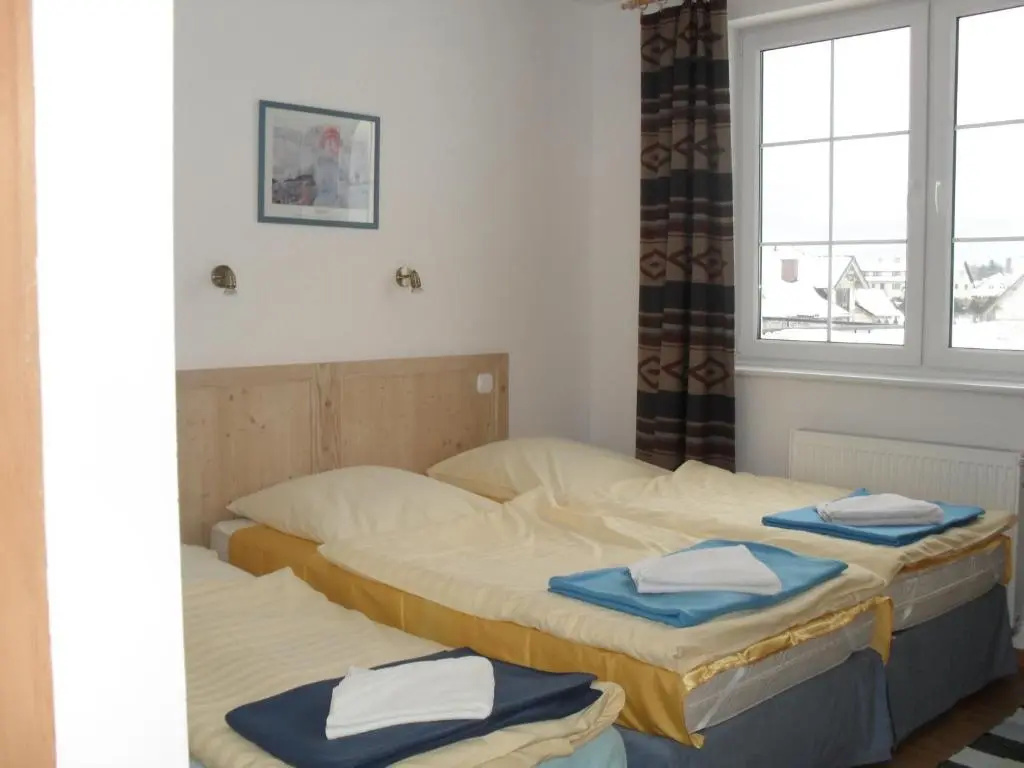 Standard Double room (full double bed)