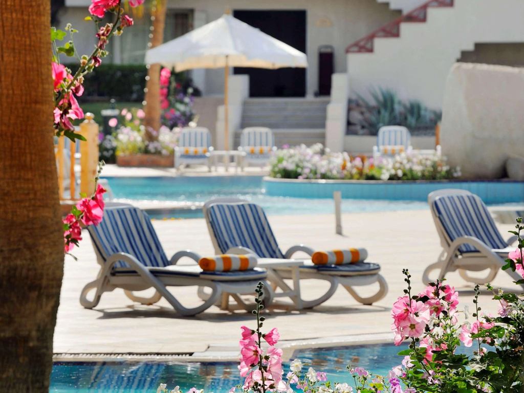 صورة: Naama Bay Promenade Beach Resort by Accor: Blue-striped sun loungers line a pool deck framed by flowering planters.