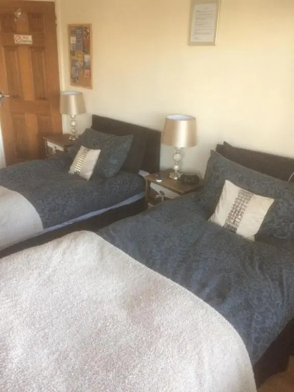 Deluxe Double room (twin beds)