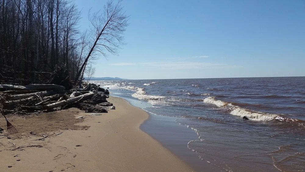 Sunshine Motel and Cabins by null