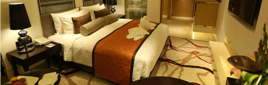 Pride Plaza Hotel Aerocity New Delhi - фото 11