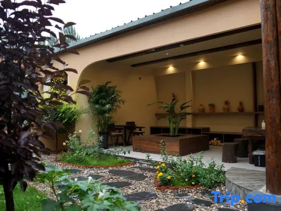 Liuxing Street Meet the Homestay Designer Homestay