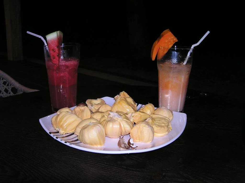 North Borneo Biostation Resort — фото 6