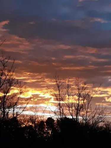 The Willows — фото 3