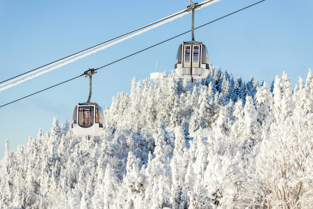 Homewood Suites by Hilton Mont-Tremblant Resort - Général