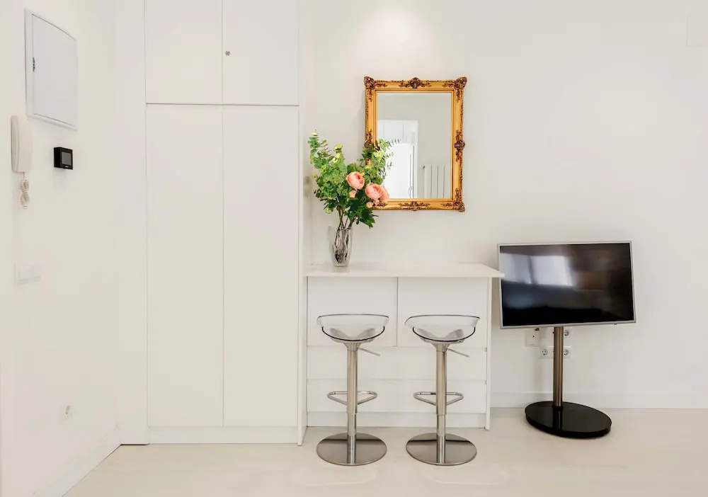 Luxury Apartment