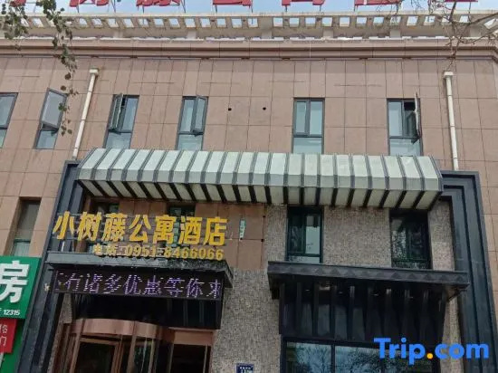 Yongning Xiaoshuteng Apartment Hotel in Yinchuan
