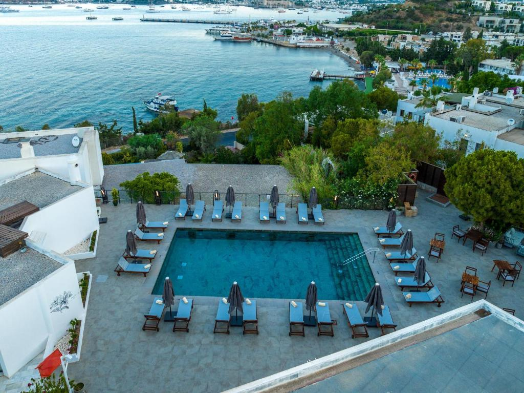 Hotel photo 41