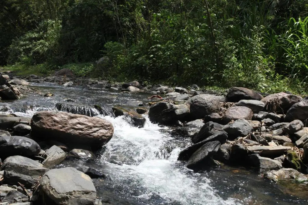 Hotel La Selva Agroecologica - Chambres