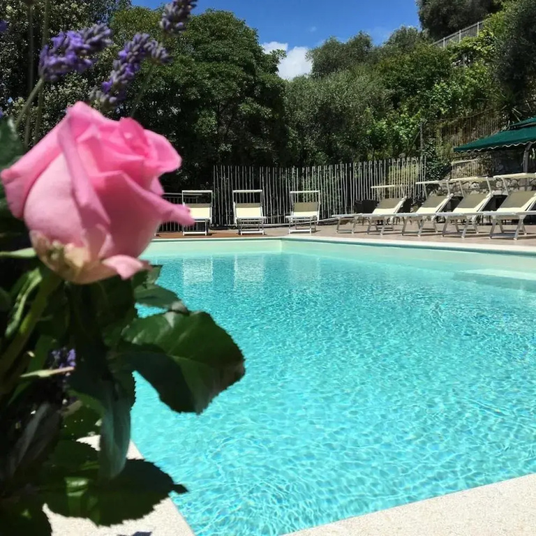 Hotel Mediterraneo - Général