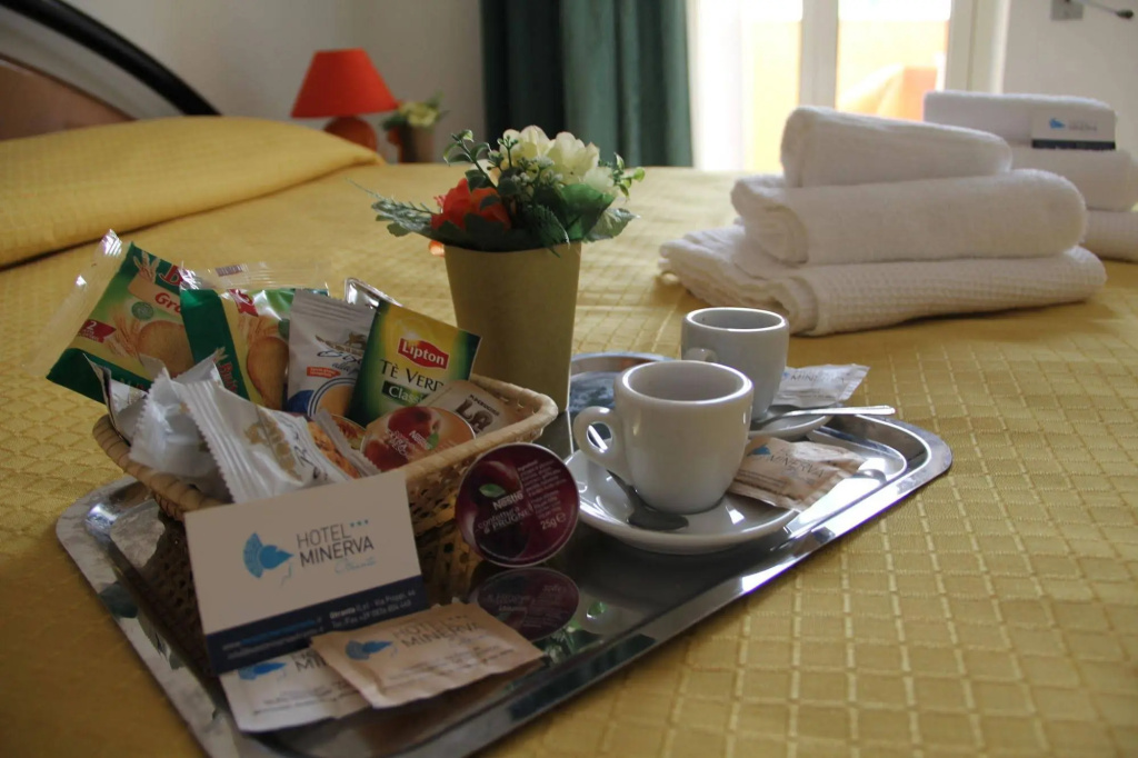 Hotel Minerva - Général