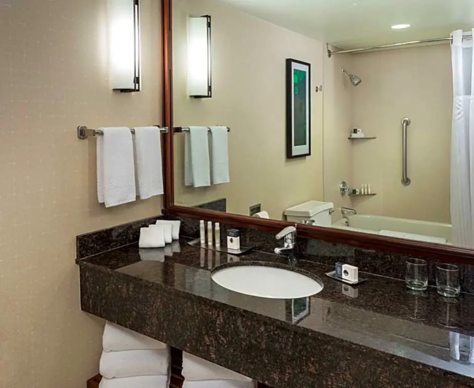 DoubleTree Suites by Hilton Htl & Conf Cntr Downers Grove - Chambres