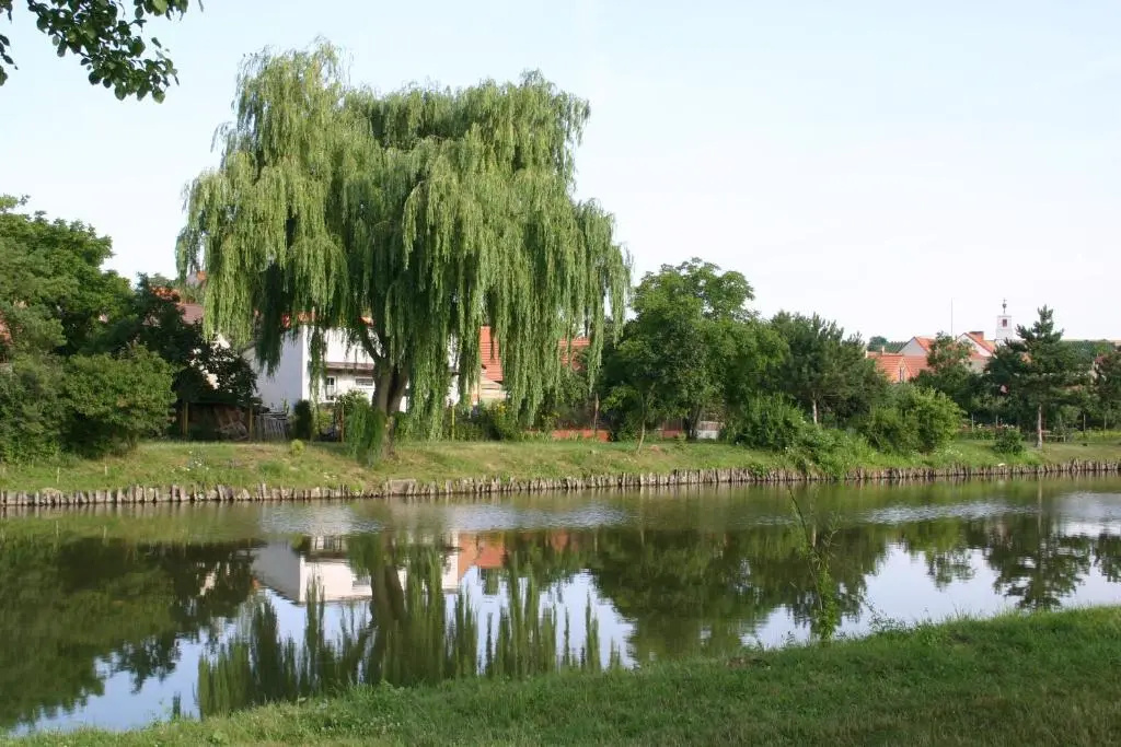 Penzion u sklepů