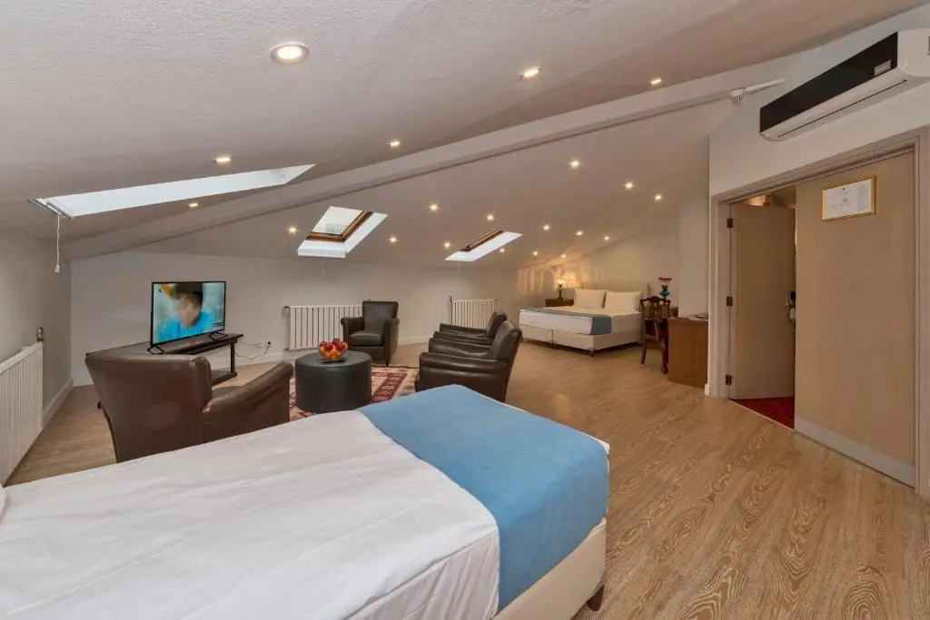 Febor Park Hotel Levent - Chambres