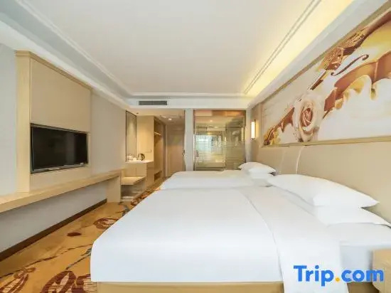Vienna International Hotel Changzhou Hutang Branch - Chambres