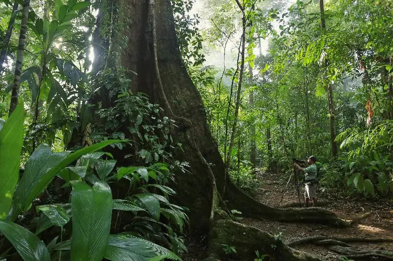 Corcovado Wilderness Lodge by Scp