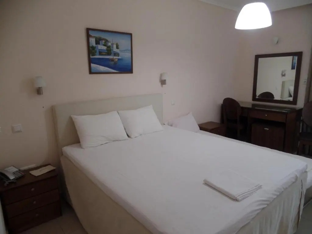Standard Double room with mountain view (full double bed)