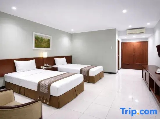 Deluxe Double room (twin beds)