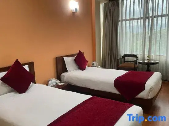 Deluxe Double room with city view (twin beds)