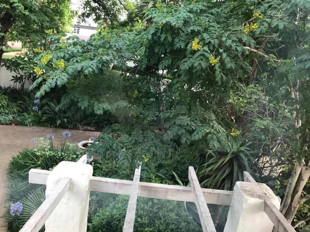 Mi Casa SuCasa Manor