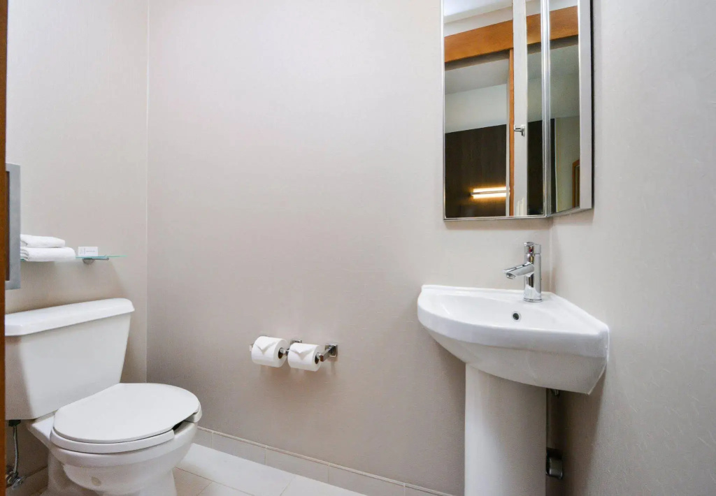 SpringHill Suites by Marriott Ashburn Dulles North - Général