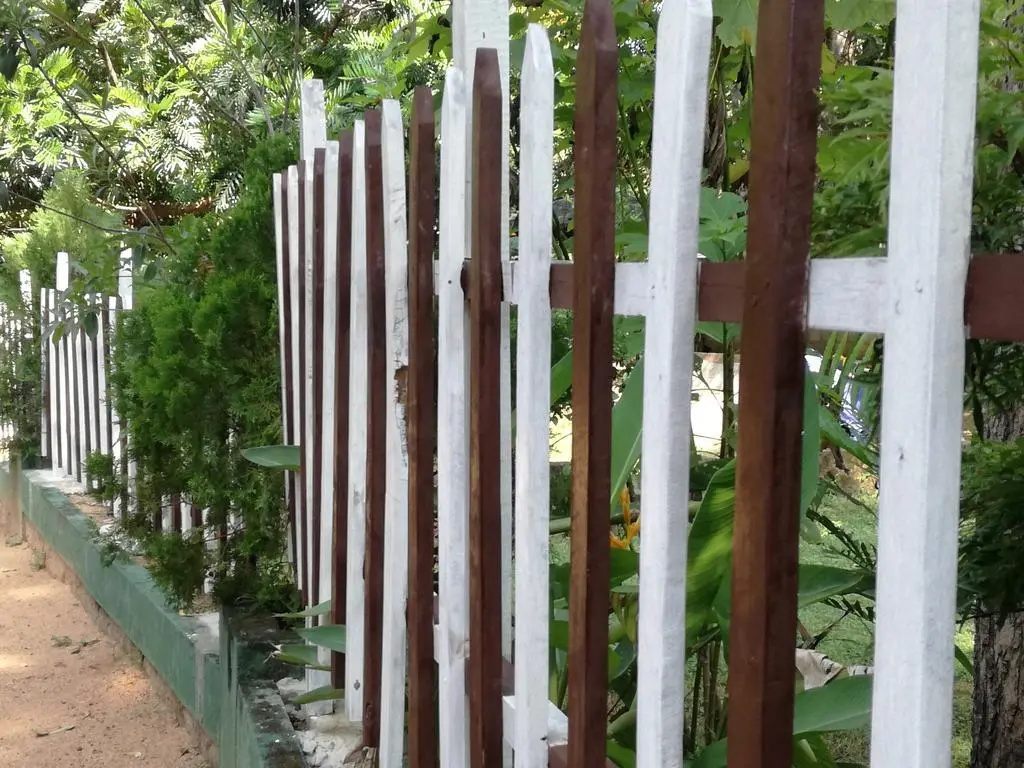 Paradise Guest House