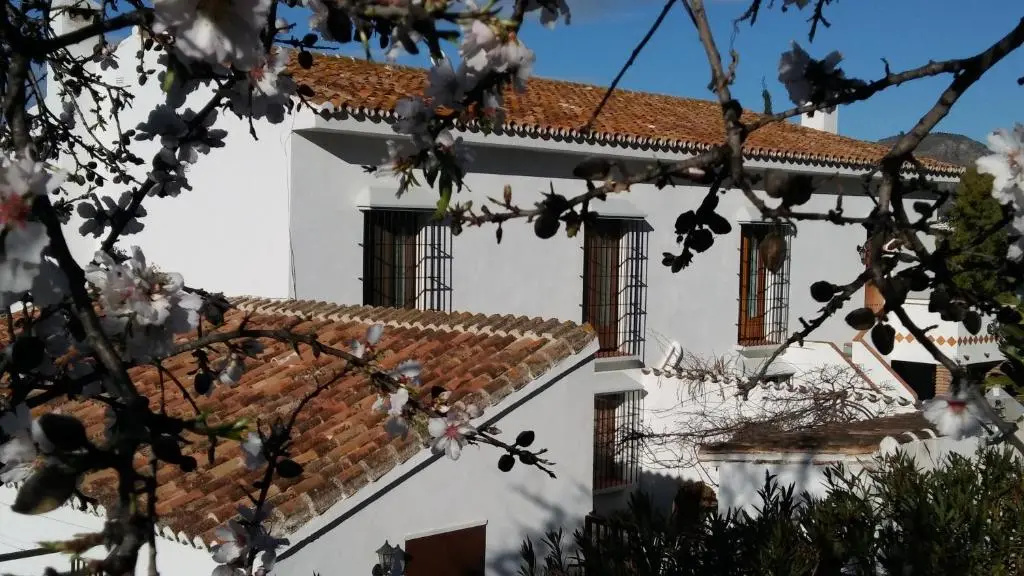 B&B Casa Domingo