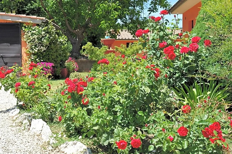 Hotel photo 29