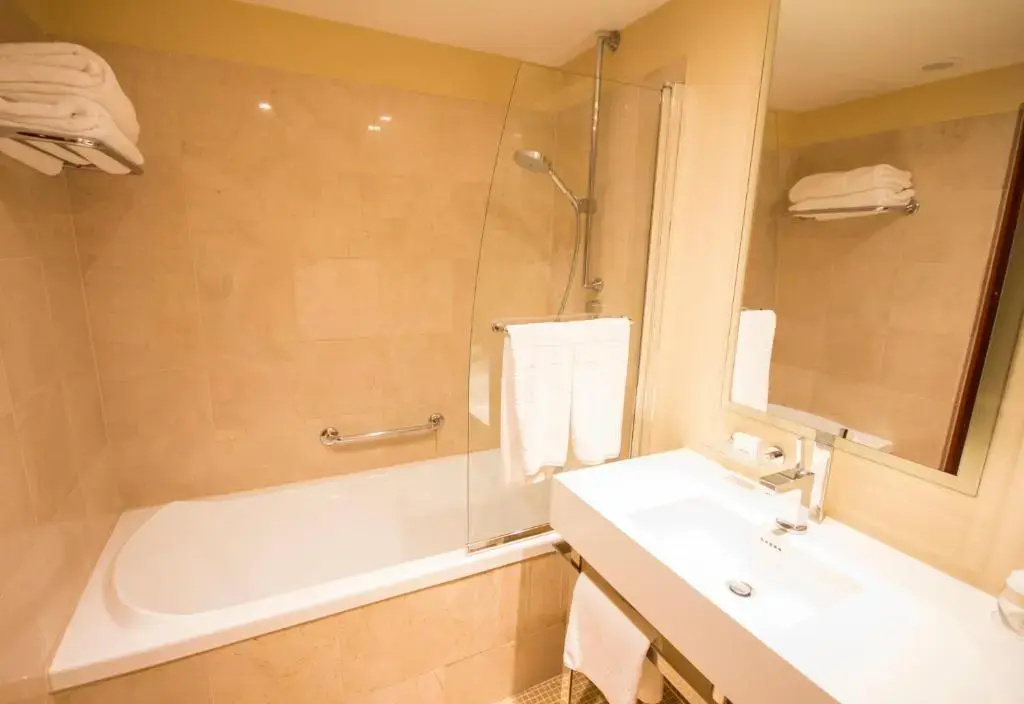 Executive Double room (twin beds)