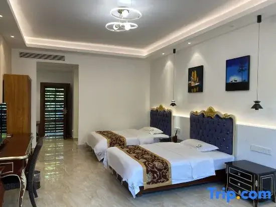 Premium Double room (twin beds)