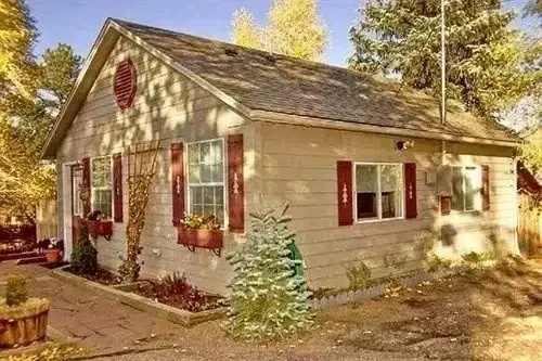 Black Dog Inn