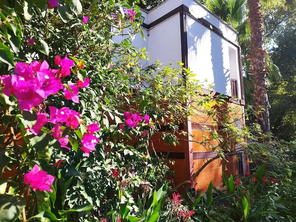 Superior Double room with balcony and with garden view (full double bed)